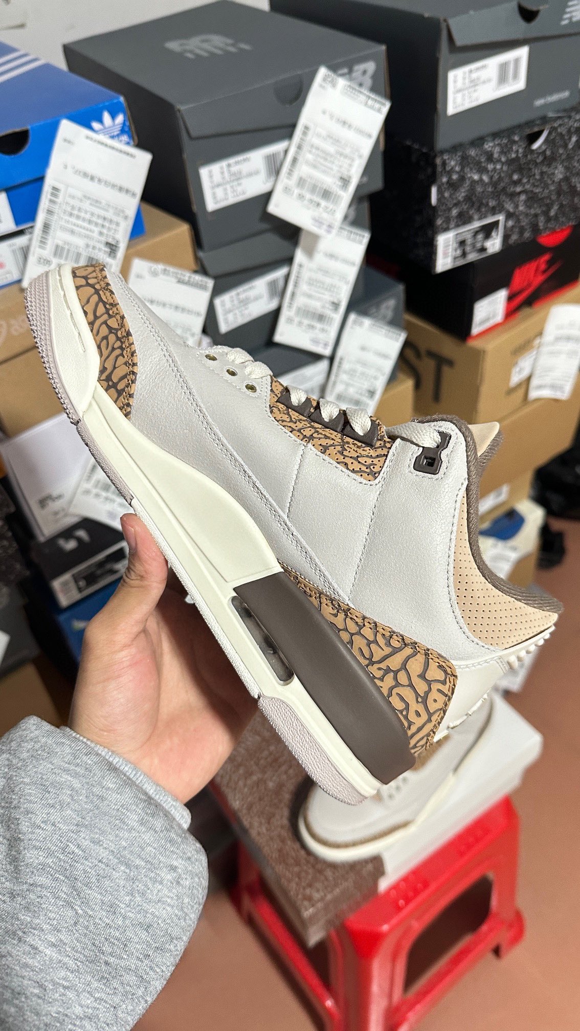 Nike Jordan shoe